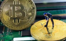 Giá Bitcoin lao dốc, thợ đào tiền ảo đối mặt khó khăn chồng chất