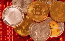 Bitcoin đã dò xong đáy?