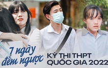 7 ngày đếm ngược đến kỳ thi THPT Quốc gia 2022: Nhiều sĩ tử bị quá tải vì áp lực ôn thi kéo dài, học đến 3 giờ sáng vẫn thấy ít