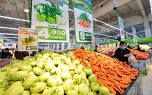 Mục tiêu xuất khẩu 55 tỷ USD ngành nông nghiệp có xa vời?