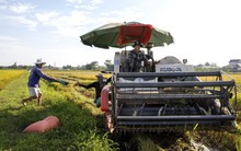 Mặt hàng Việt Nam xuất khẩu nhiều nhất nhì thế giới trở thành 'vị cứu tinh' cho cả châu Á trước 'bão giá'