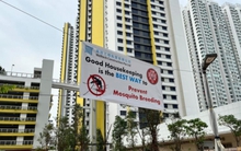 Số ca sốt xuất huyết tại Singapore dự kiến vượt mức cao kỉ lục theo tuần