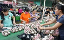 Ồ ạt rút BHXH một lần: Còn ai tha thiết với lương hưu?