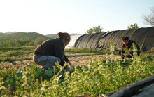 Đôi vợ chồng thạc sĩ bỏ lên núi 'sống như Robinson' suốt 7 năm, biến vùng đất khô cằn thành trang trại màu mỡ: Tự cung tự cấp mọi thứ nhưng thư thái đến lạ