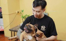 Bếp trưởng Hà Nội đầu tư tiền tỷ nuôi chó Bull Pháp đắt đỏ