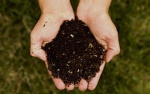 Thế giới cạn kiệt “vàng đen”, lương thực, thuốc men và khí hậu đều bị đe dọa