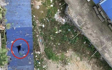 Xác định nguyên nhân người đàn ông rơi từ tầng 11 chung cư xuống dưới tử vong