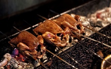 Món ăn chỉ nhỏ bằng nắm tay mà dinh dưỡng ngang với 9 con gà, có bộ phận được ví là "nhân sâm động vật": Nhưng không phải ai cũng được dùng