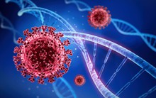 Hà Nội xuất hiện 3 ca mắc COVID-19 biến chủng Omicron BA.5