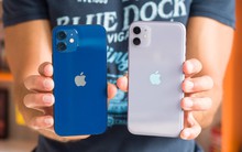 Giá nhiều mẫu iPhone tại Việt Nam đang rẻ nhất thế giới