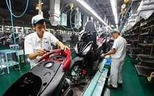 Doanh nghiệp phải làm gì trước tình trạng đứt gãy chuỗi cung ứng?