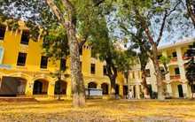 Ngoài THPT Chu Văn An và Yên Hòa, đây là ngôi trường cấp 3 ở Hà Nội có điểm chuẩn cao ngất ngưởng năm nay: Xem profile mới thấy "xứng tầm"