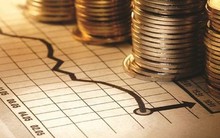 Tác động của thay đổi tỷ giá lên các doanh nghiệp vay ngoại tệ