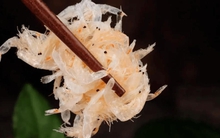 Tôm khô, vỏ trứng, canh xương, tưởng giàu canxi nhưng ăn nhiều lại lợi bất cập hại, đây mới là 3 loại thực phẩm "cao thủ" giúp xương chắc khỏe