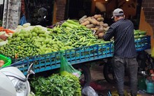 Mưa nhiều, rau xanh đắt đỏ