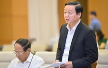 Chính phủ đề nghị chuyển đổi hơn 1.000 ha rừng để làm cao tốc Bắc - Nam phía Đông