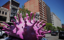 Số ca mắc các dòng phụ của biến thể Omicron gia tăng trên toàn cầu