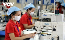 Tăng trưởng xuất khẩu tiếp tục tạo động lực khôi phục nền kinh tế