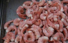 Đi chợ nên chọn kỹ 5 món dễ chứa formaldehyde này, đừng ham rẻ kẻo rước độc