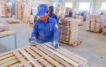 Phú Tài (PTB): Lợi nhuận nửa đầu năm 2022 tăng 31% so với cùng kỳ, đặt mục tiêu lãi 540 tỷ đồng sau 9 tháng