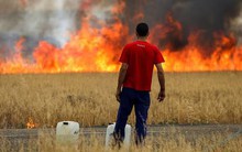 Nắng nóng như tận thế ở châu Âu, hơn 1.000 người tử vong