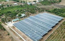 Rối với hàng trăm dự án điện mặt trời vi phạm