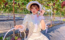 Trải nghiệm hái nho tại vườn ngay Hà Nội