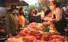 Giá thịt lợn tăng, người chăn nuôi chưa mừng đã lo