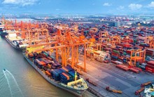 Việt Nam nhập siêu lớn chỉ trong 15 ngày đầu tháng 7