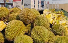 Sầu riêng được Trung Quốc cấp phép, xuất khẩu chính ngạch vẫn không dễ