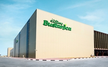 Dubai xây "nhà máy" trồng rau trên không lớn nhất thế giới, tiết kiệm 95% nước so với rau trồng trên đất