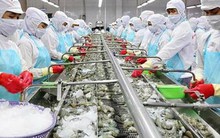 Nhiều đại gia thủy sản bị quấy nhiễu, đòi nợ, bị tung tin đồn “đã chết”