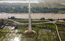 Ảnh: Người dân phơi thóc, chăn thả gia súc trên cây cầu được đầu tư cả trăm tỷ