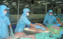 Bối cảnh nhiều thay đổi, giá cá tra xuất khẩu đứng trước áp lực giảm
