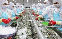 Nhiều đại gia thủy sản bị quấy nhiễu, đòi nợ, bị tung tin đồn “đã chết”