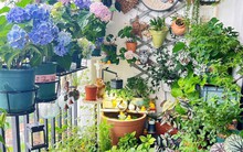 Khu vườn ban công chỉ 4m² khiến bạn nhìn là mê ngay