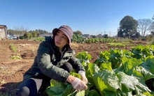 Biết nàng dâu mê trồng rau, mẹ chồng mua hẳn mảnh đất rộng 1.400m2 cho con làm vườn