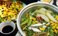 Gió đưa gió đẩy về rẫy ăn còng, về sông ăn cá, về đồng ăn cua...