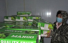 Ứng phó với giá USD, euro biến động mạnh