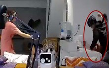 Công an triệu tập nam thanh niên đánh dã man cô gái trong tiệm spa ở Đà Nẵng