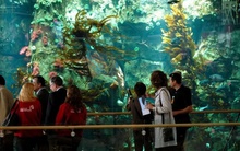 10 sân bay kỳ lạ nhất thế giới: Nơi khiến người tái mét mặt, nơi lại dễ dàng "lấy lòng" vì quá đẹp