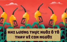 Nghịch lý lương thực dùng để nuôi ... ô tô