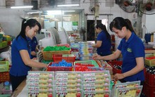 Ồ ạt rút BHXH một lần: Không nên cào bằng tuổi nghỉ hưu