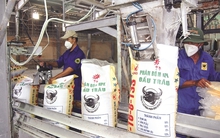 Phân bón Bình Điền lãi quý II ước giảm 26%, sản lượng tiêu thụ giảm hơn một nửa