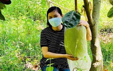 Thạc sĩ về quê cuốc đất cà phê, nghe xì xào nghi hoặc và khởi nghiệp đầy nước mắt