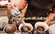 Có gì trong 8 loại cà phê đắt nhất thế giới, giá tới 100 USD/tách: Kết tinh sự tinh túy của tự nhiên và phương pháp chế biến, người đam mê nhất định nên thử 1 lần