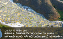 Lý giải bí ẩn hồ nước “mọc đốm” ở Canada: Nơi khiến người mắc hội chứng sợ lỗ "rùng mình"