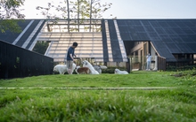 Thiết kế mái nhà độc đáo tạo nên nơi sống hoà hợp giữa con người và thú cưng