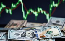 Giá USD thị trường tự do rơi sâu dưới mốc 24.000 VND