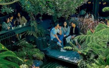 Đà Lạt - "loạn" giữa rừng nội dung review